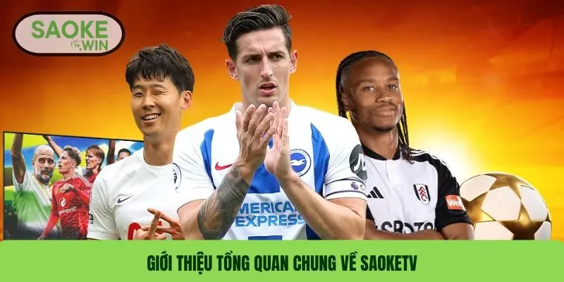 Giới Thiệu 1 Giới thiệu tổng quan chung về SaokeTV